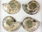 Lot: - Cut Ammonite Pairs (Grade B/C) - Pairs #77328-3